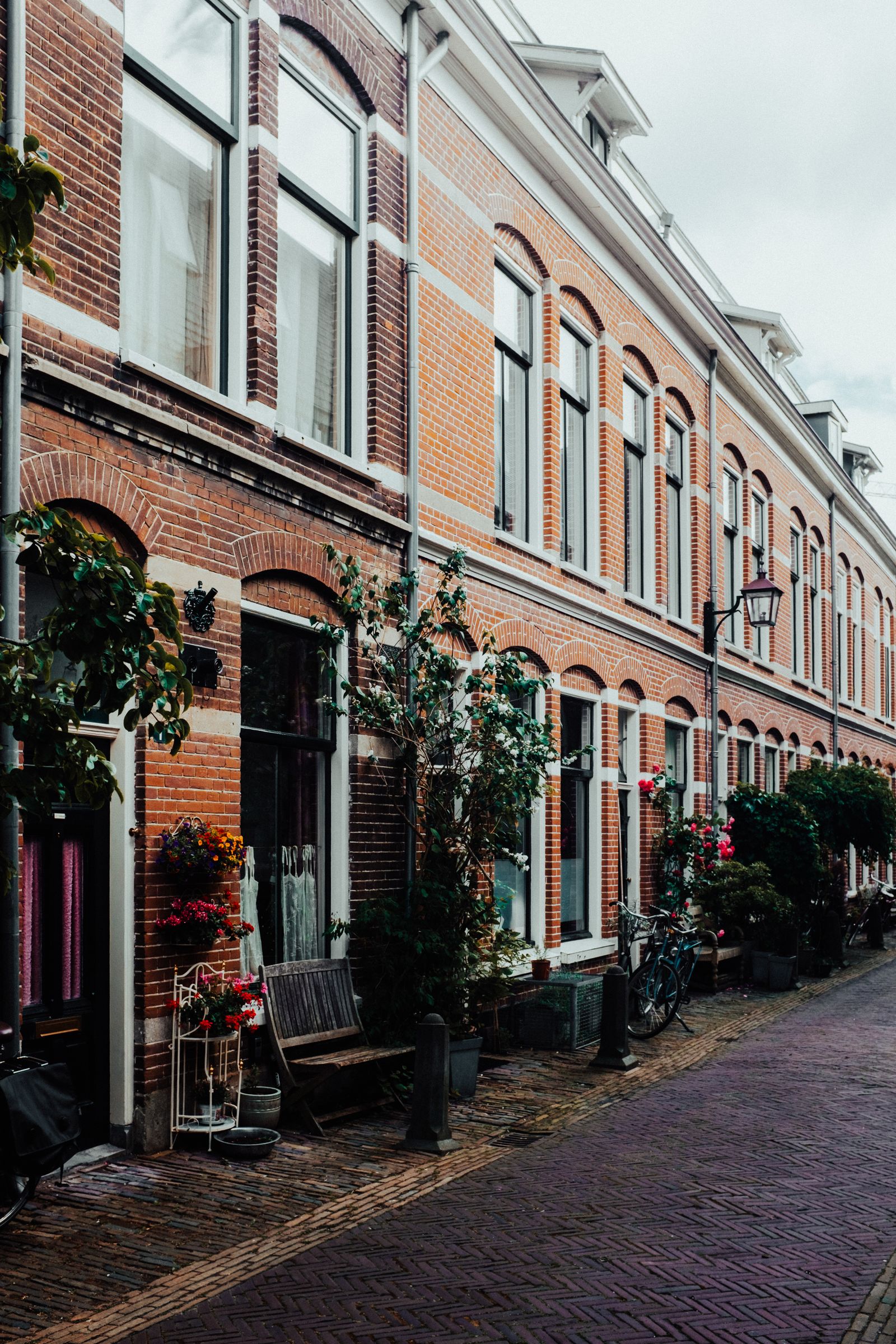 Nederlandse straat met historische bakstenen huizen en bloeiende planten